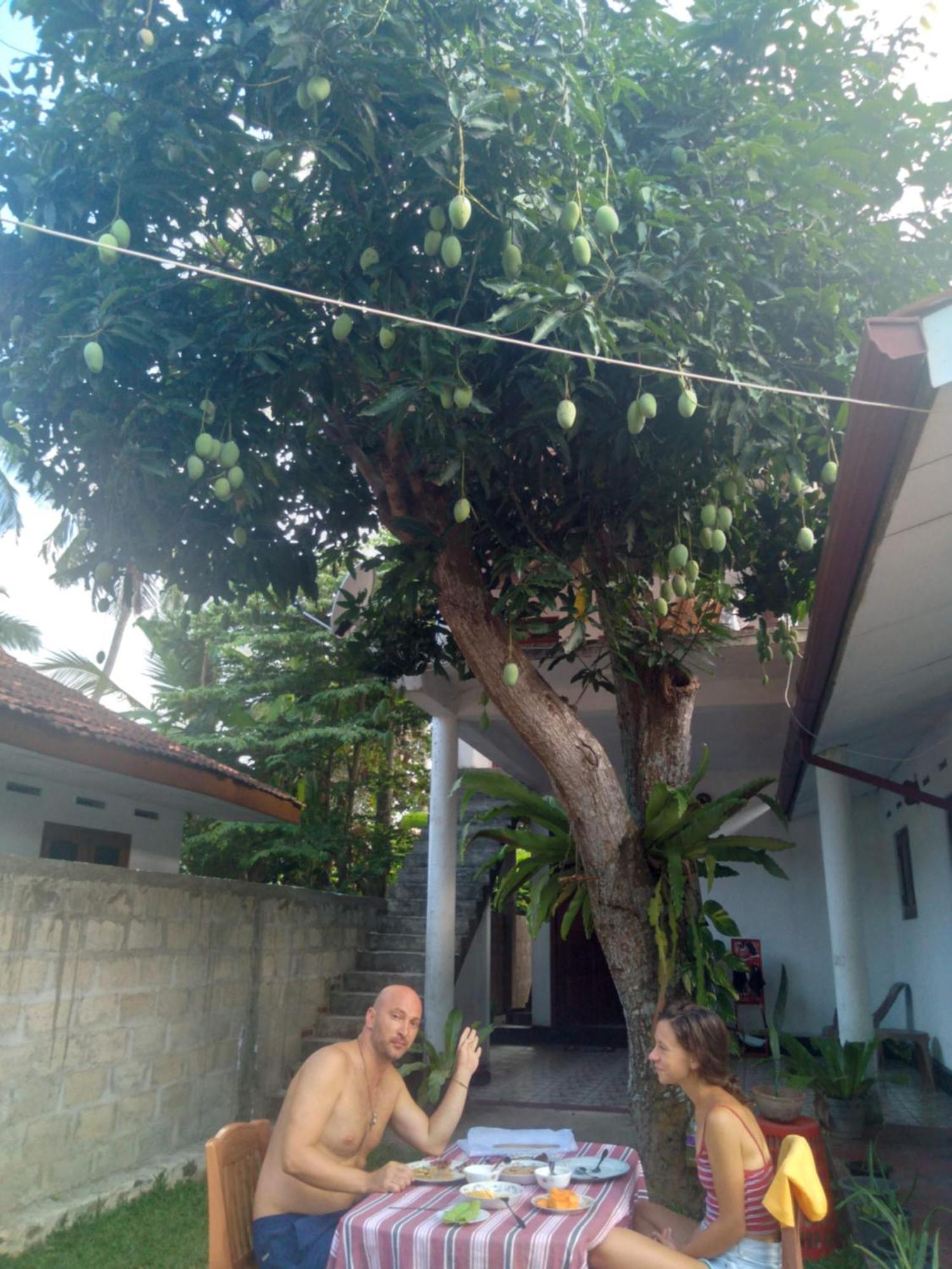 Sanithu Homestay And Villa Galle Kültér fotó